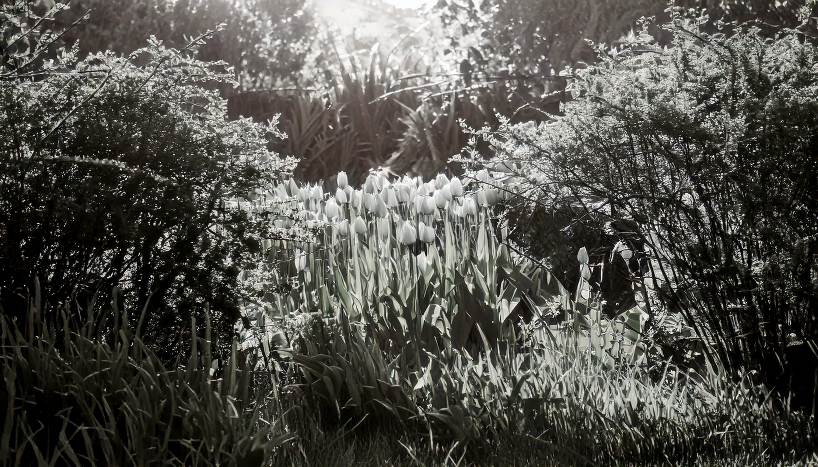 There's a Lot of Bad Telemetry Out There